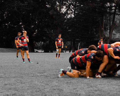 RUGBY_PLANTEL_SUP_N7-104