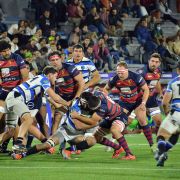 RUGBY_PLANTEL_SUP_N7-12