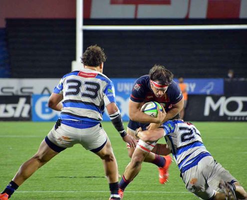 RUGBY_PLANTEL_SUP_N7-130