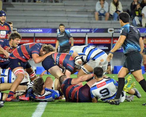 RUGBY_PLANTEL_SUP_N7-18