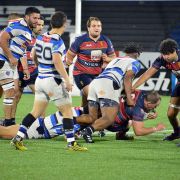 RUGBY_PLANTEL_SUP_N7-19